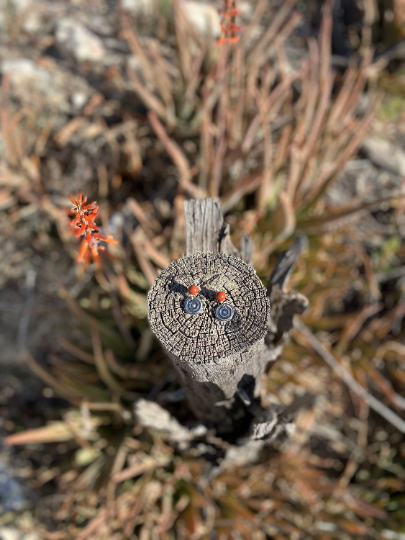 Jasper Sterling Silver Waterhole Sterling Silver Earrings
